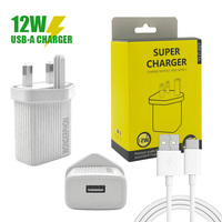 Chargeur de voyage USB universel 12W avec câble Type-C, compatibilité mondiale 100-240V, prise UK, logo et emballage personnalisables