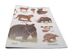 Haute qualité mot Anglais d'apprentissage grande taille livres avec stylo parlant pour les enfants - Product Image 6