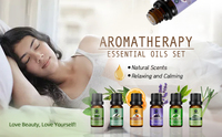 Diffuseur d'huiles essentielles naturelles et biologiques pour hôtel, sans parabènes, hydratant et nourrissant, à la lavande, à l'orange, à la myrrhe et à l'arbre à thé