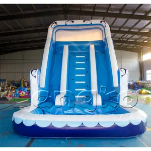 आउटडोर Inflatable खेल का मैदान पानी स्लाइड डॉल्फिन डबल स्लाइड inflatable पानी स्लाइड