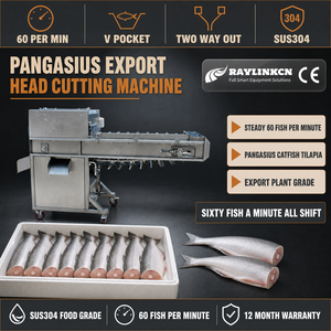 Impianto per l'Export Decapitatrice Professionale per <span class=keywords><strong>Pesce</strong></span> Acciaio Inox Alimentare 60 Pezzi al Minuto Pangasio Taglio Testa - Product Image 1