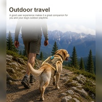 Harnais pour chien personnalisé Qcool avec LED multi-modes anti-traction et boucle métallique pour centres d'adoption animale et promenades nocturnes