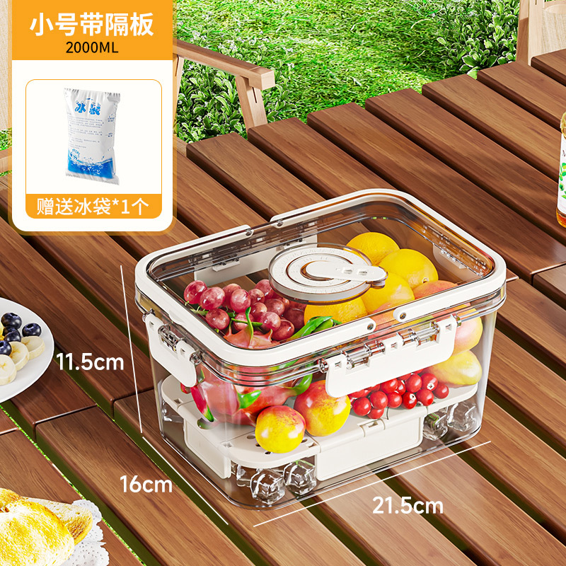 Food storage container (with handle) - Small "ice pack"