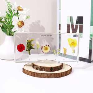 Alti tipi di Corolla acrilica trasparente campione di resina giocattoli educativi per la scuola superiore - Product Image 3