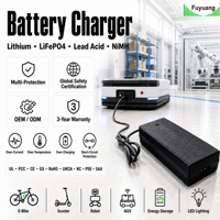 Chargeur de batterie pour machine de nettoyage de sols LiFePO4 12V 24V 48V 60V, chargeur au lithium pour autolaveuse OEM 2A 3A 4A 5A, chargeur Li-ion