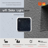 Sensor de Luz Solar WiFi Tuya, IP65 Impermeable, Inalámbrico Inteligente con Energía Solar, Compatible con Home Assistant, TY-SL-GZ
