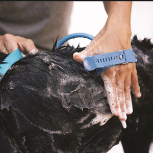 Vente directe d'usine, outil de bain pour animaux de compagnie, pomme de douche massante et brosse de nettoyage pour chien, équipement de toilettage pour animaux de compagnie en gros/ - Product Image 5