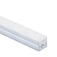 Tube en silicone avec lumière au néon 2024 Solution d'éclairage durable et flexible personnalisable pour la décoration et les accessoires