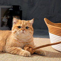Cama Acogedora para Mascotas, Cesta Plegable para Perros y Gatos, Transpirable y Duradera, Casa de Dormir Tejida para Mascotas con Pelota de Juguete