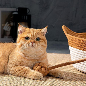 Lit douillet <span class=keywords><strong>pour</strong></span> animaux de compagnie, <span class=keywords><strong>panier</strong></span> pliable respirant et durable <span class=keywords><strong>pour</strong></span> chiens et chats, maison de couchage tressée avec balle de jeu - Product Image 3