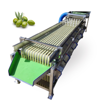Klein Formaat Fruitgroente Sortering Sinaasappel Fruit Sortering Walnoot Olijf Sorteermachine