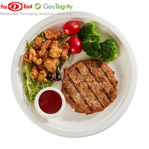 Platos de moldeo de pulpa de bagazo de caña de azúcar desechables compostables biodegradables sin PFAS - Product Image 3