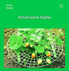 Étagère à fraises chaudes Outils de jardinage en plastique écologiques Balcon Plantation de légumes en pot Support de <span class=keywords><strong>palette</strong></span> Pots de fleurs et jardinières - Product Image 4