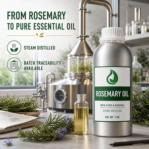 <span class=keywords><strong>Huile</strong></span> <span class=keywords><strong>Essentielle</strong></span> de Romarin Pure et Naturelle de Qualité Cosmétique, Biologique, à l'Odeur Fraîche, pour Soins Capillaires Quotidiens, Hydratante et Nourrissante - Product Image 3