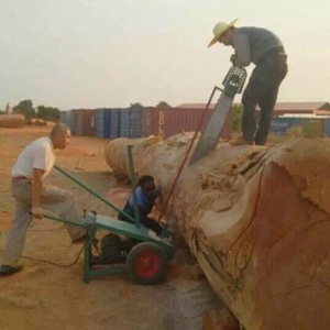 Gasoline Portable Yard Package Rip <b>Saw</b> 380V 2200mm Cutting Capacity - Product Image 4