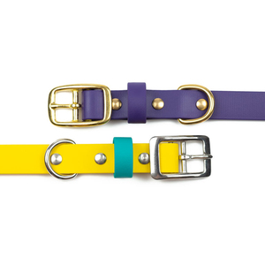 <span class=keywords><strong>Collar</strong></span> de correas recubiertas de PVC para perros, accesorio personalizado Bicolor, impermeable, para mascotas al aire libre, proveedor de fábrica <span class=keywords><strong>China</strong></span>, venta al por mayor - Product Image 4
