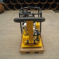 Vente directe d'usine moteur à essence/compacteur à plaques portable pour moteur diesel