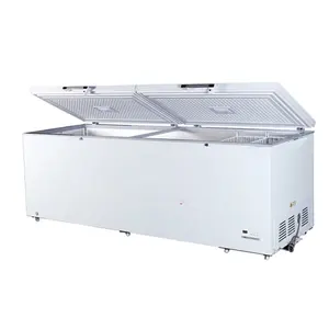 1000 Liter Big Capacity Horizontal Commercial 2 Door Chest Deep Freezer