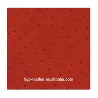 Natural Cow Skin Leather with Ostrich Pattern Leather