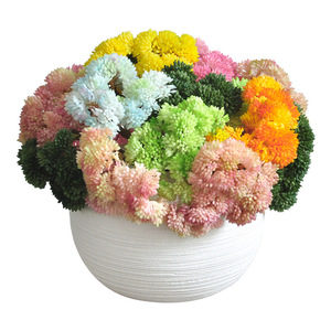 Arrangement de fleurs artificielles Yoshinobu, succulentes réalistes en caoutchouc souple, ornement de bureau pour la décoration de la maison et de l'hôtel - Product Image 5