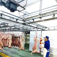 Abattoir halal pour moutons, processus d'abattage de la viande d'agneau