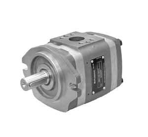 Bombas de Engranajes Externos de Desplazamiento Fijo Serie Duplomatic GP1 GP2 GP3 - Product Image 4