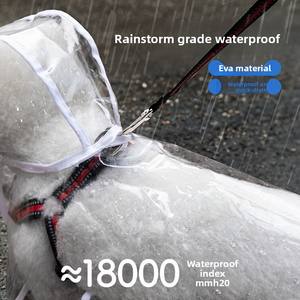 छोटे मध्यम आकार के कुत्तों के लिए पारदर्शी वाटरप्रूफ पालतू बारिश सर्दियों में बिच्छन टेडी पोंचो ठोस कुत्ते बारिश के दिन बिल्लियों - Product Image 4