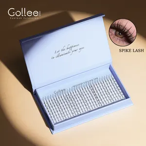 Gollee Lash 9-15mm C/D Curl Single Silk Pre Made Premade Fans 2024 Spikes Eyelash Extensions For Salon Individual Eyelashes