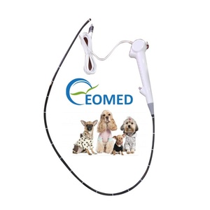 Endoscope vétérinaire flexible USB portable FVE10-vet à bon prix, endoscope vidéo vétérinaire fabriqué en Chine - Product Image 1