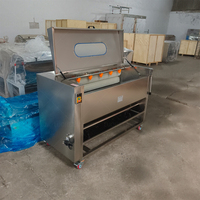 Machine automatique multifonctionnelle de nettoyage et de pelage du manioc ; Machine industrielle et commerciale de nettoyage des pommes de terre et du gingembre