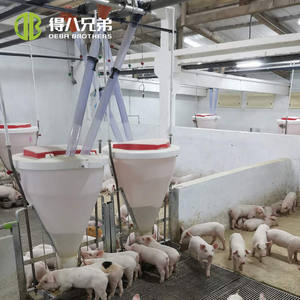 Domuz yetiştiriciliği için otomatik kuru ıslak mama kabı yeni durum plastik domuz besleyicileri besi odası hayvan kafesleri için - Product Image 6