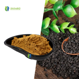 Extracto <span class=keywords><strong>de</strong></span> Semilla <span class=keywords><strong>de</strong></span> Cebolleta <span class=keywords><strong>de</strong></span> Alta Calidad 10:1 20:1, Extracto <span class=keywords><strong>de</strong></span> Semilla <span class=keywords><strong>de</strong></span> Cebolla en Polvo - Product Image 1