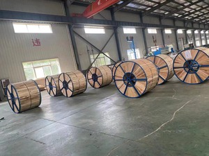 สายไฟฟ้าแรงดันปานกลาง <span class=keywords><strong>IEC</strong></span> <span class=keywords><strong>60502</strong></span> N2XSY/NA2XSY ชนิด Al/XLPE/JXLPE สำหรับงานก่อสร้างอุตสาหกรรม  สายไฟฟ้าหุ้มเกราะ IP67 - Product Image 6