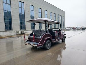 VENTE FLASH Chariot Classique Vintage Homologué Route 11 Places de Haute Qualité Personnalisé en Usine - Product Image 3