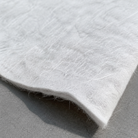 Tissu géotextile non tissé en PP 100 g/m², 200 g/m², 300 g/m² pour la séparation des sous-terrains routiers, la filtration et le drainage