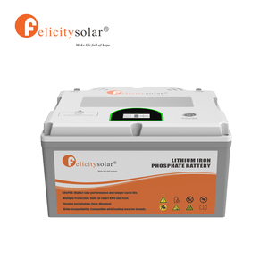 แบตเตอรี่ Felicitysolar 2.56KWh LiFePO4 24V 100Ah รองรับการเชื่อมต่อแบบขนานได้สูงสุด 16 ยูนิต สำหรับระบบโซลาร์เซลล์แบบออฟกริด - Product Image 1