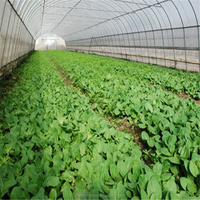 Serre tunnel agricole commerciale en film plastique ZHUOTAI pour tomates CN