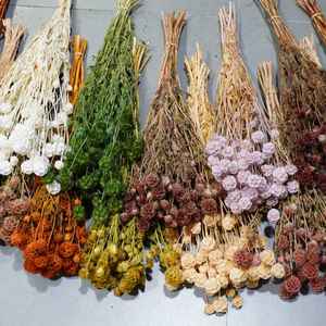 Оптовая продажа, консервированные стебли Scabiosa | Сушеные Цветочные стручки для фотосъемки, наполнитель подарочной коробки - Product Image 5