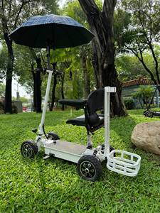 สเก็ตบอร์ด 4 ล้อทรงพลัง, สกู๊ตเตอร์พับได้สำหรับผู้ใหญ่พร้อมแบตเตอรี่ 48V, บอร์ดเดินทางระยะไกลความเร็วสูง HSK-E11 ดีไซน์พับเก็บง่าย - Product Image 2