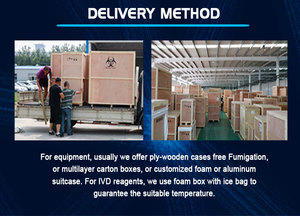 BIOBASE refrigerador portátil de <span class=keywords><strong>LCX</strong></span> - 33L 2 a 8 grado fácil de mover de mini portátil refrigerador - Product Image 5
