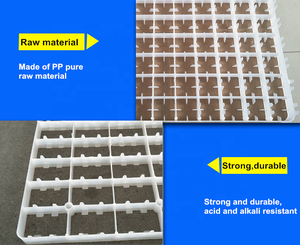 Le plus vendu 88 incubateur de poulet utilisé plateau d'oeufs d'incubateur en plastique avec la conception <span class=keywords><strong>geat</strong></span> - Product Image 4