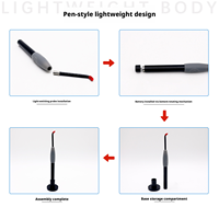 Lampe de poche dentaire intelligente, lumière d'inspection buccale, détecteur d'examen des dents et des parodonties pour les soins dentaires