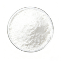 Bicarbonate de soude de qualité supérieure pour la transformation alimentaire et les applications de levage