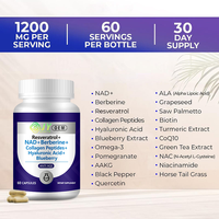 Capsules NAD+ 60 unités – Complément NAD pour le soutien énergétique cellulaire – OEM ODM Marque privée Vente en gros Usine en vrac