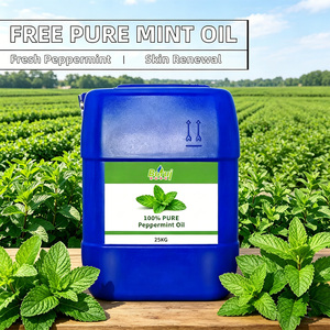 <span class=keywords><strong>Huile</strong></span> <span class=keywords><strong>essentielle</strong></span> de menthe poivrée 100% pure et naturelle, pour les soins du corps, les massages et les soins bucco-dentaires, <span class=keywords><strong>huile</strong></span> <span class=keywords><strong>essentielle</strong></span> de menthe poivrée en vrac, fournie par l'usine - Product Image 3
