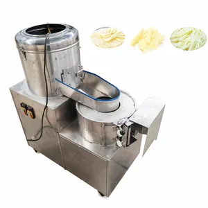 Radish Peeling Machine Electric Potato Washer Peeler And Chipper Cutter Cutting Slicer Machine