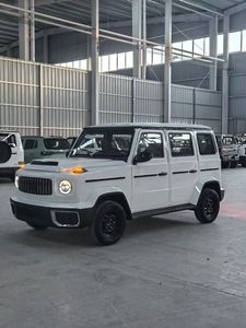 Vehículo Eléctrico de Alta Calidad con Volante a la Izquierda/Derecha, 4 Ruedas, 4 Asientos, Aire Acondicionado, Velocidad de 60 km/h, Bajo <span class=keywords><strong>Precio</strong></span>, Gran G, Vehículo de Nueva Energía - Product Image 4