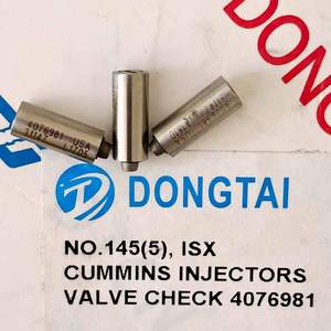 Válvula de Retención para <span class=keywords><strong>Inyectores</strong></span> Cummins Isx No. 145(5) 4076981 - Product Image 5