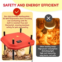 Plaque Chauffante pour Poussins de Jour de 30,5 x 30,5 cm, Chauffage d'Éleveuse Réglable en Hauteur et Angle, 50W, Rouge