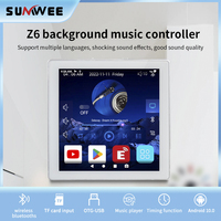 4 inç Android 10.0 Mini akıllı WIFI Bluetooths duvar amplifikatör HiFi dokunmatik ekran destekler 150 dil ev ses sistemi